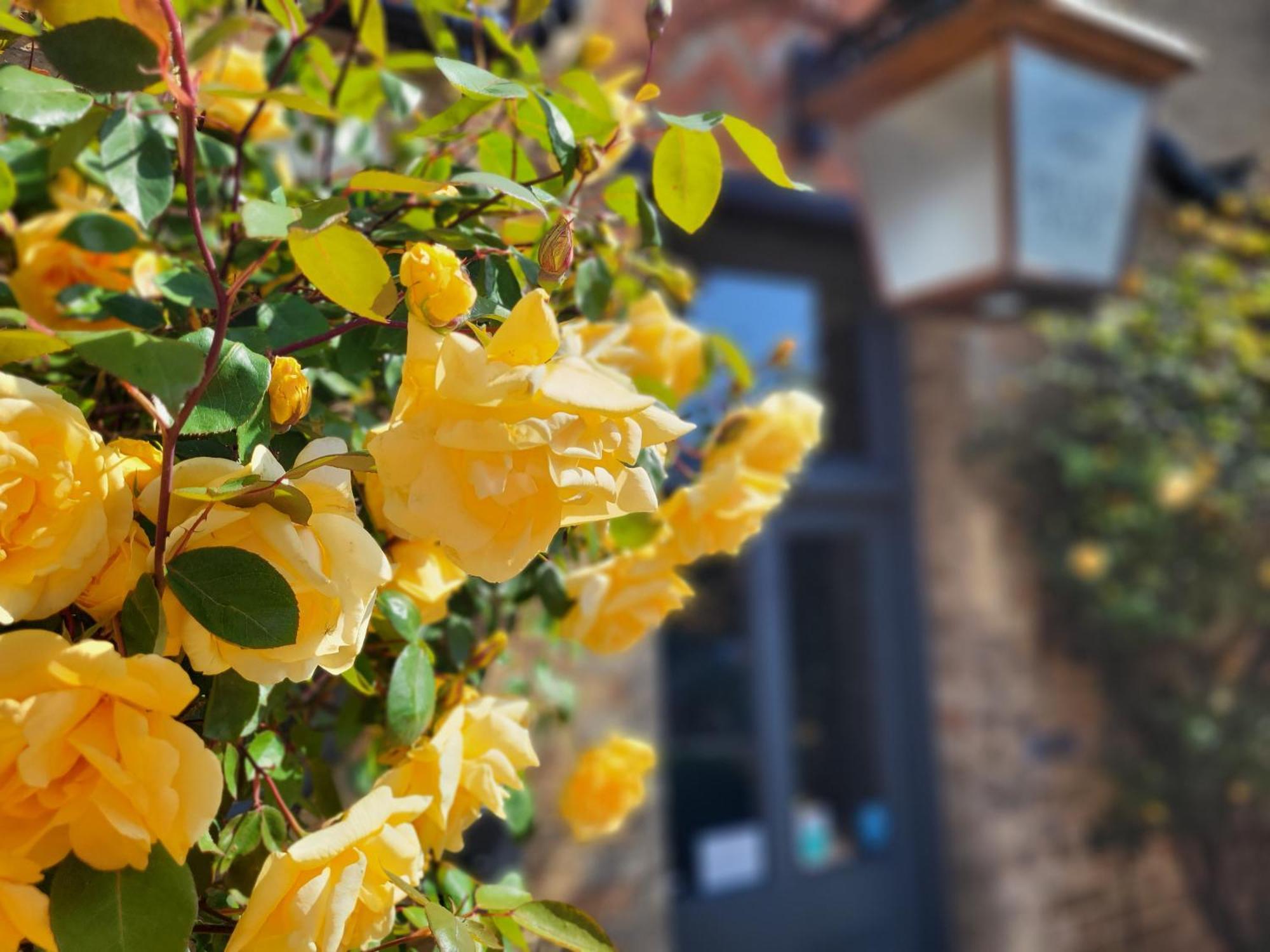 Belle Vue Guest House Denver Ngoại thất bức ảnh